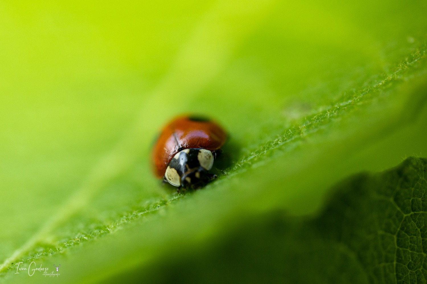  R2A7911 07 juni 2023 0912 13